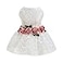 Fitwarm Luxury Rose Lace Pet Dog Weddding Dress Bride Clothes Formal Apparel Medium