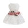 Fitwarm Luxury Rose Lace Pet Dog Weddding Dress Bride Clothes Formal Apparel Medium