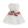 Fitwarm Luxury Rose Lace Pet Dog Weddding Dress Bride Clothes Formal Apparel Medium