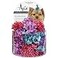 Aria Dot Rose 48 Piece Bows for Dogs