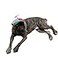 GEANBAYE Dog Hats with Funny Propeller Size and Rope Double Adjustment Pet Hats for Small Medium Large Dog and Cat Iridescent