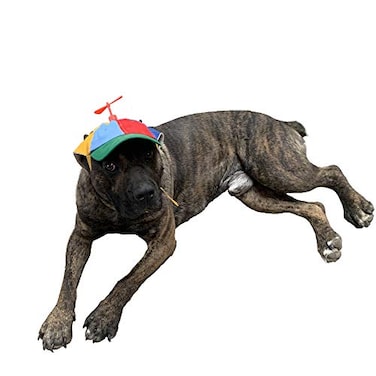 GEANBAYE Dog Hats with Funny Propeller Size and Rope Double Adjustment Pet Hats for Small Medium Large Dog and Cat Iridescent