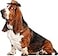 Rubies Cowboy Pet Hat for Dogs or Cats SM