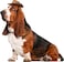 Rubies Cowboy Pet Hat for Dogs or Cats SM