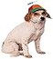 Rubies Propeller Hat Pet Hat for Dogs or Cats ML