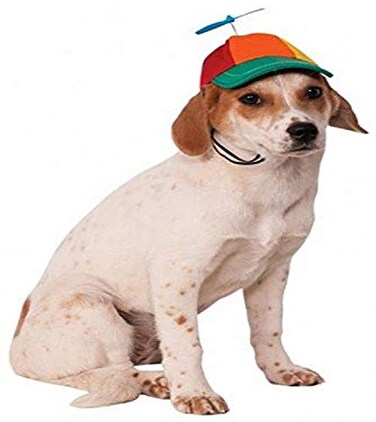 Rubies Propeller Hat Pet Hat for Dogs or Cats ML
