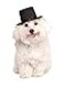 Rubies Top Hat Pet Hat for Dogs or Cats SM