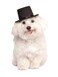 Rubies Top Hat Pet Hat for Dogs or Cats SM