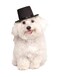 Rubies Top Hat Pet Hat for Dogs or Cats SM
