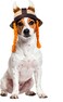 Rubies Viking Pet Hat for Dogs or Cats SM