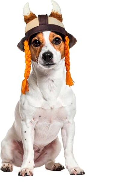 Rubies Viking Pet Hat for Dogs or Cats SM