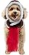 Rubies Aviator Pet Hat Scarf Set for Dogs or Cats ML