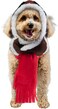 Rubies Aviator Pet Hat Scarf Set for Dogs or Cats ML