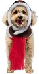 Rubies Aviator Pet Hat Scarf Set for Dogs or Cats ML
