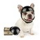 Enjoying Dog Helmets for Small and MediumSized Dogs Bulldog Helmet Medium Dog Helmet Doggie Hat for Outdoor Motorcycing Biking Travelling Exploring Adjustable M