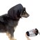 vomvomp 2 Pack Breathable Dog Snood Longears Dogs Net Snood Dog Ear Cover for Cocker Spaniel Cavalier Poodle Basset L