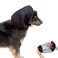 vomvomp 2 Pack Breathable Dog Snood Longears Dogs Net Snood Dog Ear Cover for Cocker Spaniel Cavalier Poodle Basset L