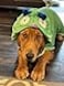 BoxDog Wearable Microfiber Dog Towel with Monster Hoodie Soft Dog Bathrobe Large
