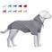 Lovelonglong Blank Basic Hoodie Sweatshirt for Dogs 100 Cotton Fits Small Medium Dachshund Large Dog Gray DL