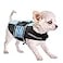 Queenmore Small Dog Life Jacket Adjustable Pet Life Vest for Small and Medium Dogs with High Buoyancy Rescue Handle Reflective Bands for Boating Canoeing Swimming