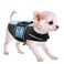Queenmore Small Dog Life Jacket Adjustable Pet Life Vest for Small and Medium Dogs with High Buoyancy Rescue Handle Reflective Bands for Boating Canoeing Swimming