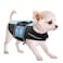 Queenmore Small Dog Life Jacket Adjustable Pet Life Vest for Small and Medium Dogs with High Buoyancy Rescue Handle Reflective Bands for Boating Canoeing Swimming