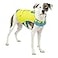 Kurgo Surf n Turf Dog Life Jacket Adjustable Dog PFD Reflective Floatation Vest for Small Medium Large Pets YellowBlue Small