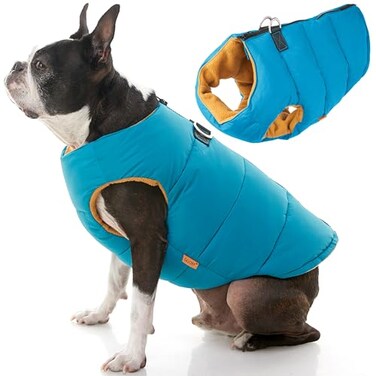 Gooby Padded Vest Dog Jacket Solid Turquoise Small Warm Zip Up Vest Fleece Jacket with Dual D Ring Leash Water Resistant for Small to Medium Dogs