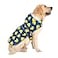HAPPIERE Dog Raincoat for Large Dogs Waterproof Jacket Hooded Rain Coats with Reflective Strips Leash Hole Poncho Adjustable Fit DuckXXL