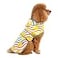 HAPPIERE Dog Raincoat for Small Dogs Puppies Waterproof Jacket Hooded Rain Coats with Reflective Strips Leash Hole Poncho Adjustable Fit RainbowS