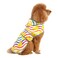 HAPPIERE Dog Raincoat for Small Dogs Puppies Waterproof Jacket Hooded Rain Coats with Reflective Strips Leash Hole Poncho Adjustable Fit RainbowS