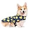 HAPPIERE Dog Raincoat for Medium Dogs Waterproof Jacket Hooded Rain Coats with Reflective Strips Leash Hole Poncho Adjustable Fit DuckM