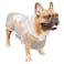 iChoue English Bulldog Raincoat American Pitbull Rain Coat Jacket Poncho Packable Waterproof Adjustable with Reflective Straps Lightweight for Short Thick Large Dogs Clear XL
