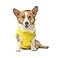 Canada Pooch Torrential Tracker Dog Rain Jacket Easy On Adjustable Full Body Coverage Waterproof Functional Pockets Reflective Trim Rain Coat for Dogs Great for Dogs