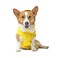 Canada Pooch Torrential Tracker Dog Rain Jacket Easy On Adjustable Full Body Coverage Waterproof Functional Pockets Reflective Trim Rain Coat for Dogs Great for Dogs
