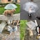 LESYPET Dog Umbrella for Small Dogs Clear Puppy Umbrella with Adjustable Rope Leash for Rainy Walking 27 Diameter