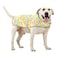 HAPPIERE Dog Raincoat for Large Dogs Waterproof Jacket Hooded Rain Coats with Reflective Strips Leash Hole Poncho Adjustable Fit RainbowXL