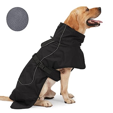 ODSSDAPU Black M Dog Raincoat Waterproof Winter Jacket with Velvet Inner Reflective Strip