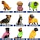 Spark Paws Dog Raincoat Waterproof Windproof Rain Jacket for Small Medium Large Extra Large Dogs Reflective Breathable FullBody Coverage Dry Suit Green Brown Tan 3XL