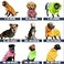 Spark Paws Dog Raincoat Waterproof Windproof Rain Jacket for Small Medium Large Extra Large Dogs Reflective Breathable FullBody Coverage Dry Suit Sea Pink 3XL