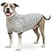 ToothHoney Tooth Honey Dog Shirt for Medium Dogs Lightweight Cotton Spandex Pullover with Sleeves Full Underbelly Coverage for Allergy Relief Skin Protection Comfortable Summer Dog Clothes Medium