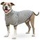 ToothHoney Tooth Honey Dog Shirt for Medium Dogs Lightweight Cotton Spandex Pullover with Sleeves Full Underbelly Coverage for Allergy Relief Skin Protection Comfortable Summer Dog Clothes Medium