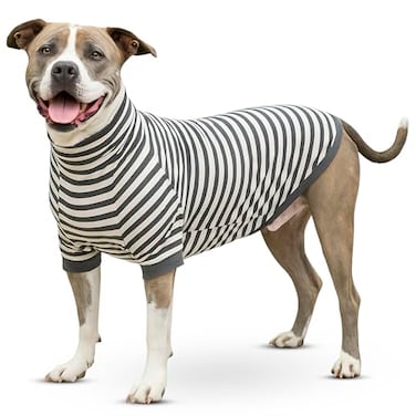 ToothHoney Tooth Honey Dog Shirt for Medium Dogs Lightweight Cotton Spandex Pullover with Sleeves Full Underbelly Coverage for Allergy Relief Skin Protection Comfortable Summer Dog Clothes Medium