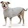 ToothHoney Tooth Honey Dog Shirt for Medium Dogs Lightweight Cotton Spandex Pullover with Sleeves Full Underbelly Coverage for Allergy Relief Skin Protection Comfortable Summer Dog Clothes Medium