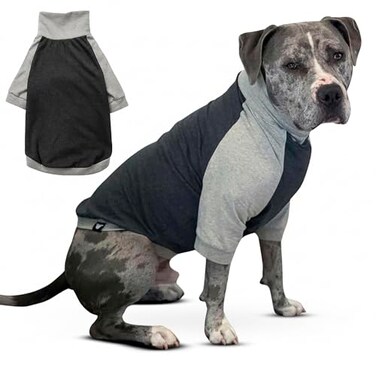 ToothHoney Tooth Honey Dog Shirt for Large Dogs Breathable Cotton Spandex Pullover with Full Underbelly Coverage for Allergy Relief Sun Protection Dark Light Grey Shirt XL
