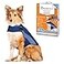 ThunderShirt for Dogs Large Blue Polo Dog Anxiety Relief Calming Vest