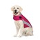 Thundershirt Apparel clothing Thundershirt Dog Anxiety Jacket Pink X Large 65110 lbs US