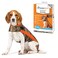 ThunderShirt for Dogs Medium Camo Polo Dog Anxiety Vest