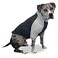 ToothHoney Tooth Honey Pullover for Large Dogs Breathable Cotton Spandex with Underbelly Coverage Dark Light Grey Allergy Summer Protection XXLarge
