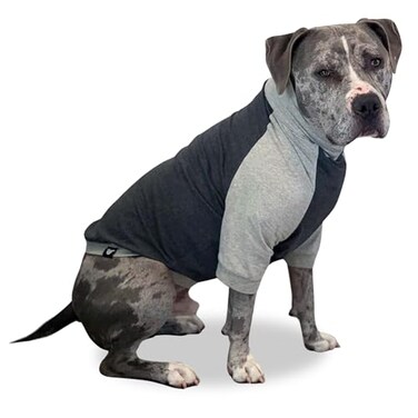 ToothHoney Tooth Honey Pullover for Large Dogs Breathable Cotton Spandex with Underbelly Coverage Dark Light Grey Allergy Summer Protection XXLarge